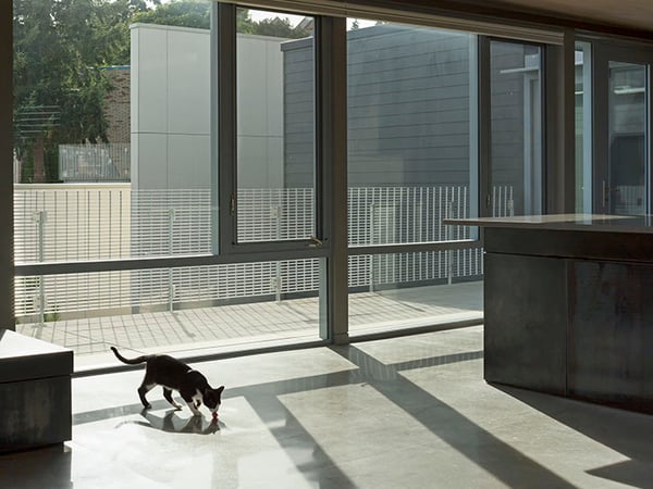 Image of West Newton Penthouse