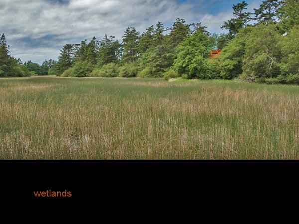 Image of Wetlands Cabin