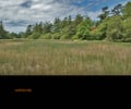 Preview of Wetlands Cabin - Image 1: Field, Grassland, Outdoors, Flora, Grass, Plant, wetlands.