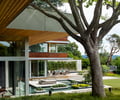 Preview of Windermere Residence - Image 11: Building, House, Housing, Villa, Bonsai, Flora, Plant, Potted Plant, Tree, Vase, wood ceiling.