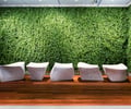 Preview of Zillow Executive Offices - Image 12: Chair, Furniture, green wall , art, wood floor.