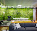 Preview of Zillow Executive Offices - Image 16: Couch, Furniture, Chair, Indoors, Interior Design, green wall , lighting , wood floor, lighting, great room.