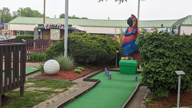 General Custer's banner