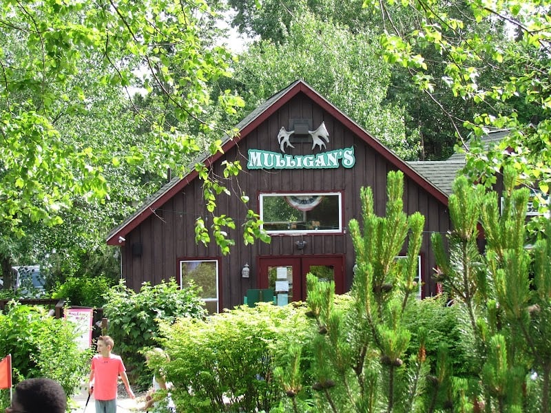 Mulligan's Miniature Golf banner