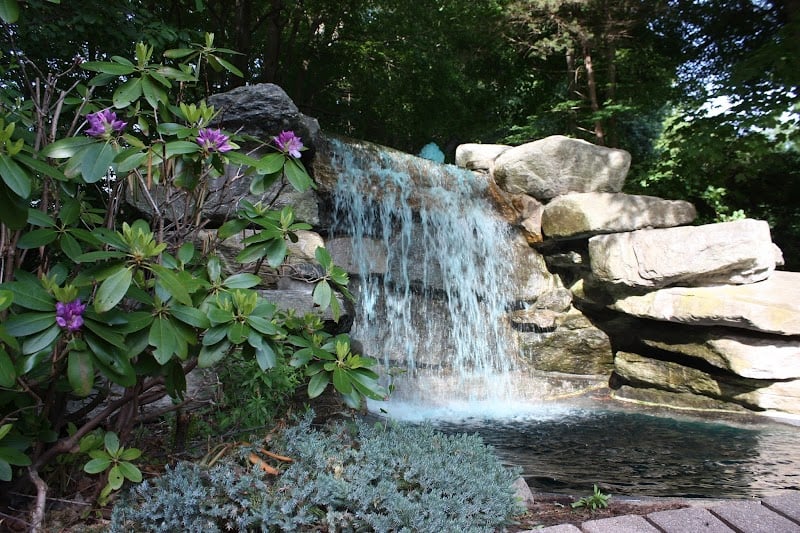 Knolls & Holes banner