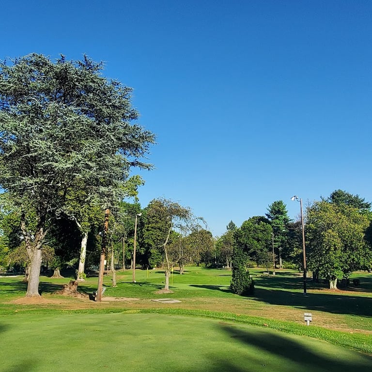 Bridge Street Golf banner