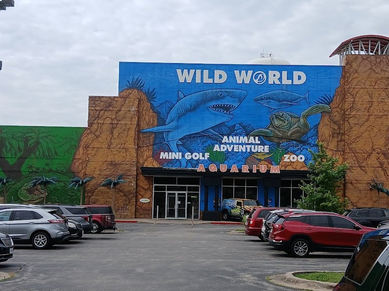 Branson's Wild World banner