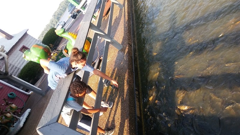 Sawyer's Creek banner