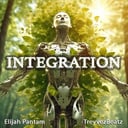 Integration cover art