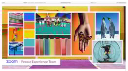 Zoom_Visuals_Moodboard-01