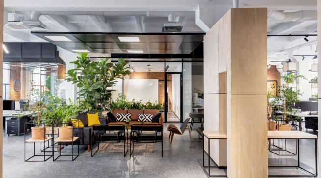 Enlightened Workspaces