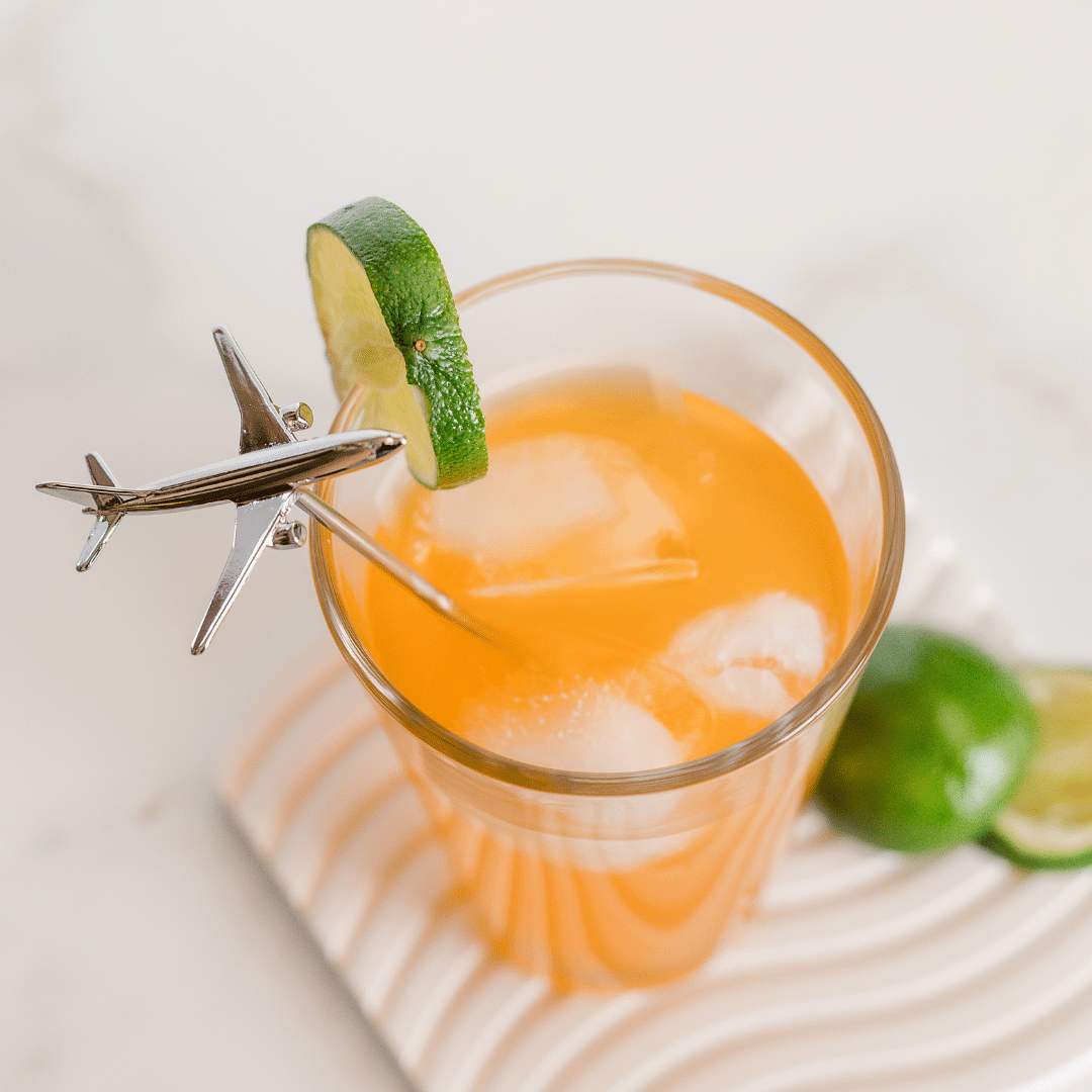 Airplane Stir Stick (Set of 2) Now in Two Sizes!