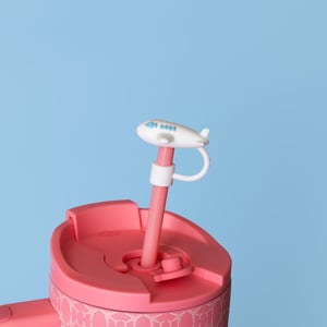 Airplane Straw Topper (Set of 2)