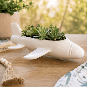 Airplane Planter - Waitlist