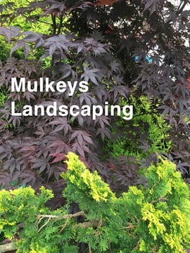 Mulkeys Landscaping