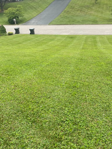 Velasco Family Lawn Care