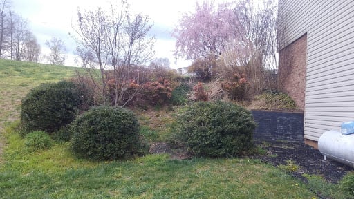 Complete Creations Landscaping