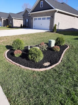 Curtis Lawn Maintenance