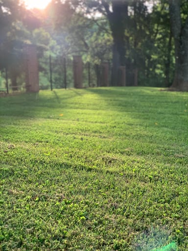 Southern Green Lawn Care