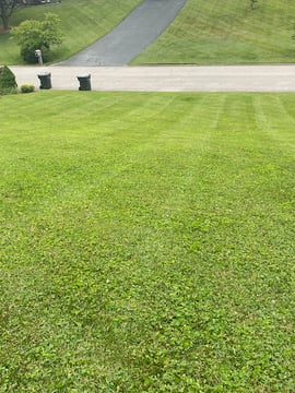 Velasco Family Lawn Care