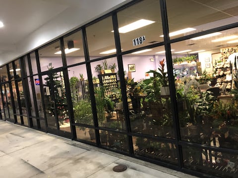 Clean Vision Window Cleaning LLC