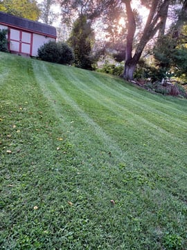 Blue collar lawn care