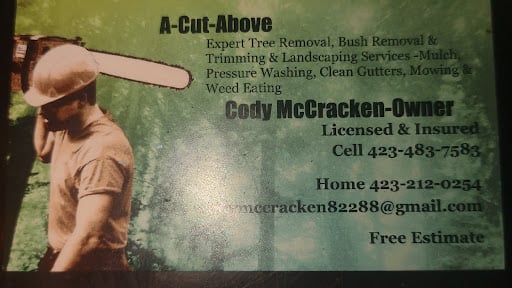 A-cut-above tree service and landscaping company