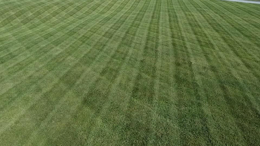 B & C Lawn Care and Landscaping LLC