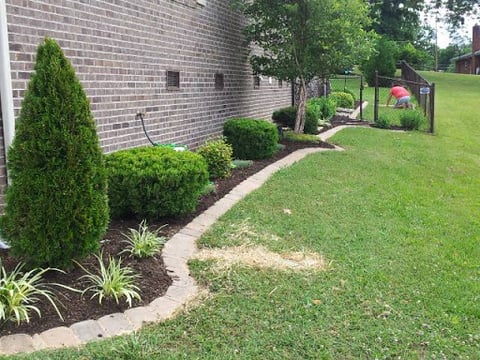 Davis Landscaping & Lawn Maintenance