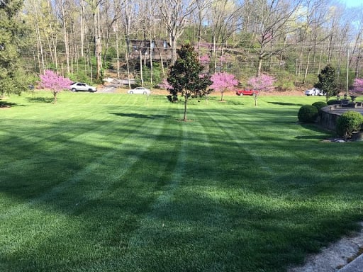 Pender’s Lawn Maintenance