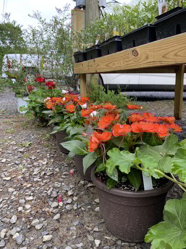 Thomas Hollow Nursery Inc