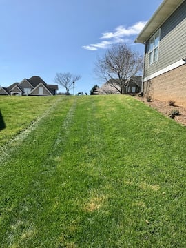 Mow & Go Lawn Care Service of Bristol