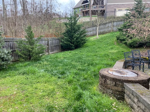 TurfWorks Lawn Services