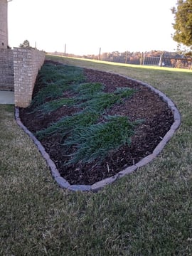 Curtis Lawn Maintenance