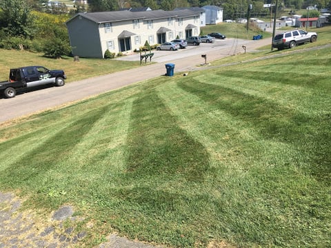 Lundy's Lawn Care