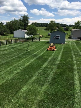 Pender’s Lawn Maintenance