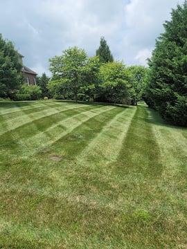 Anytime Mowing