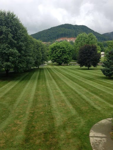 D & L Lawn Care and Landscape