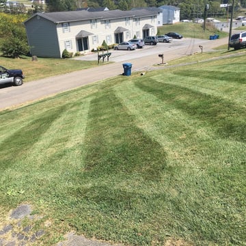 Lundy's Lawn Care