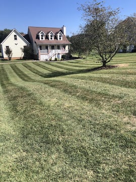 Venters lawn care and Maintenance