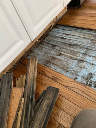 Water Damage Restoration APS