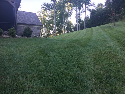 Blevins Lawn Care & Landscaping