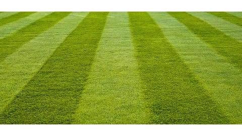 Reliance Lawn Care