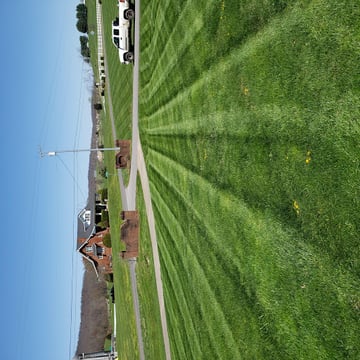 Lawn Wizard