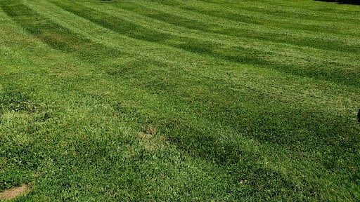 McCarver Lawn Service