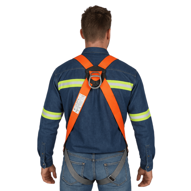 ARNES DE SEGURIDAD CON 1 ARGOLLA