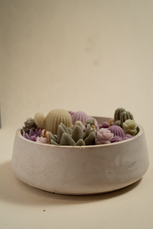 Imagen 1 de Jardín Concreto