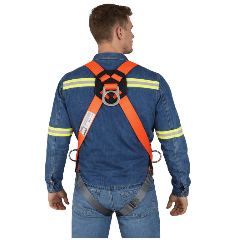 Imagen 2 de ARNES DE SEGURIDAD CON 3 ARGOLLAS