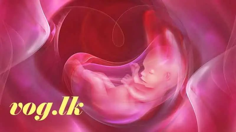 ගබ්සාවීමට හේතු (Causes for abortion)