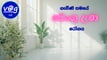 dengue-in-pregnancy-sinhala